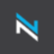 Nexion Group Ltd Logo