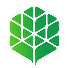 Simtel Team S.A. Logo