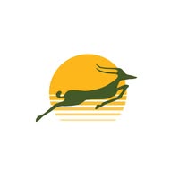 Precision Air Services Plc Logo