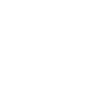 Auroora Yhtiöt Oyj's Logo