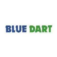 Blue Dart Express Limited Logo