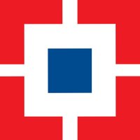 HDB Financial Services Limited Logo