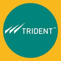 Trident Limited Logo