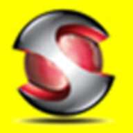 Skylink Holdings Limited's Logo